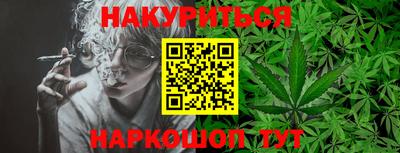 mdpv Заводоуковск